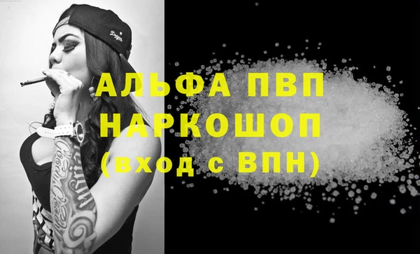 прущие грибы Арсеньев